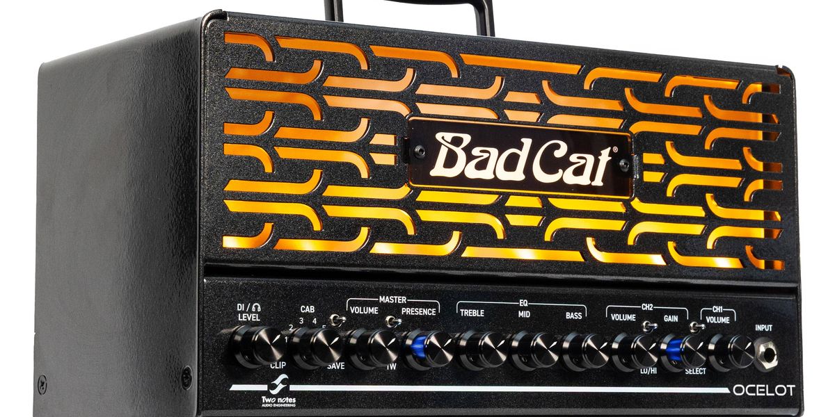 Bad Cat Ocelot : le petit félin qui rugit