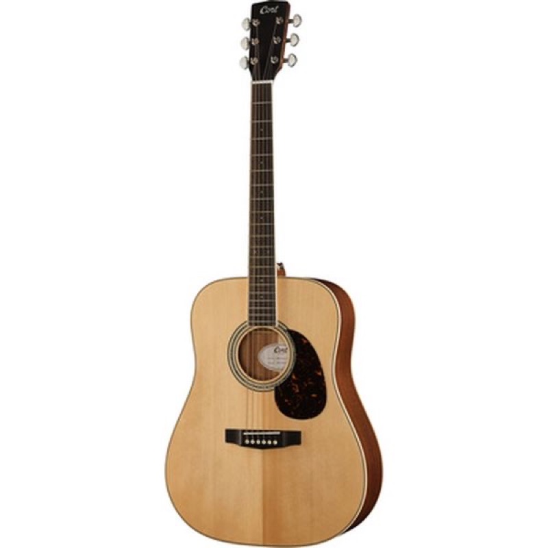 Cort Earth 100 NS